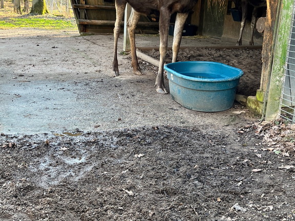 23-02-13 14-24-02 4219